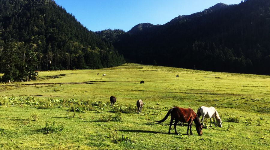 Mugu Nepal : Geography, Attractions and Lifestyle